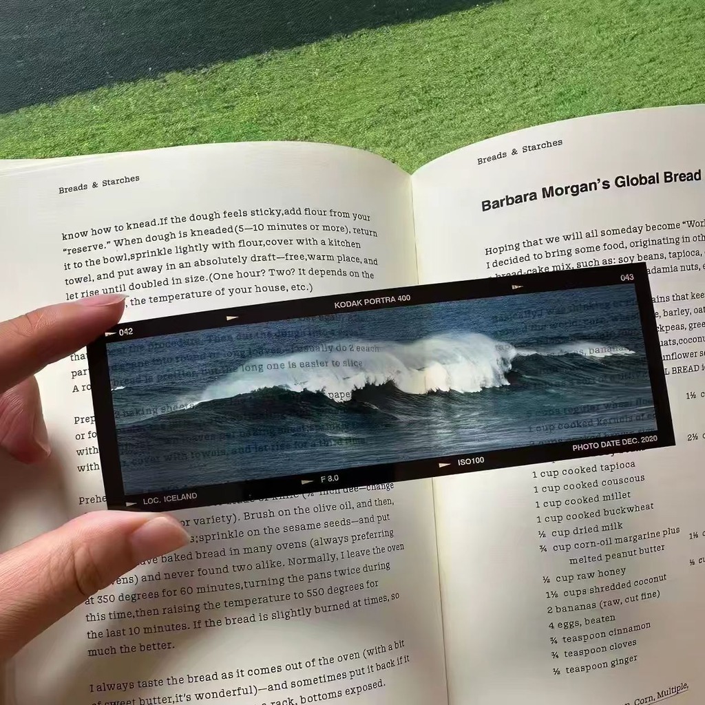 Sea'S Memoirs Ocean Theme Film - đánh giá và giá Dried Flower Bookmark
