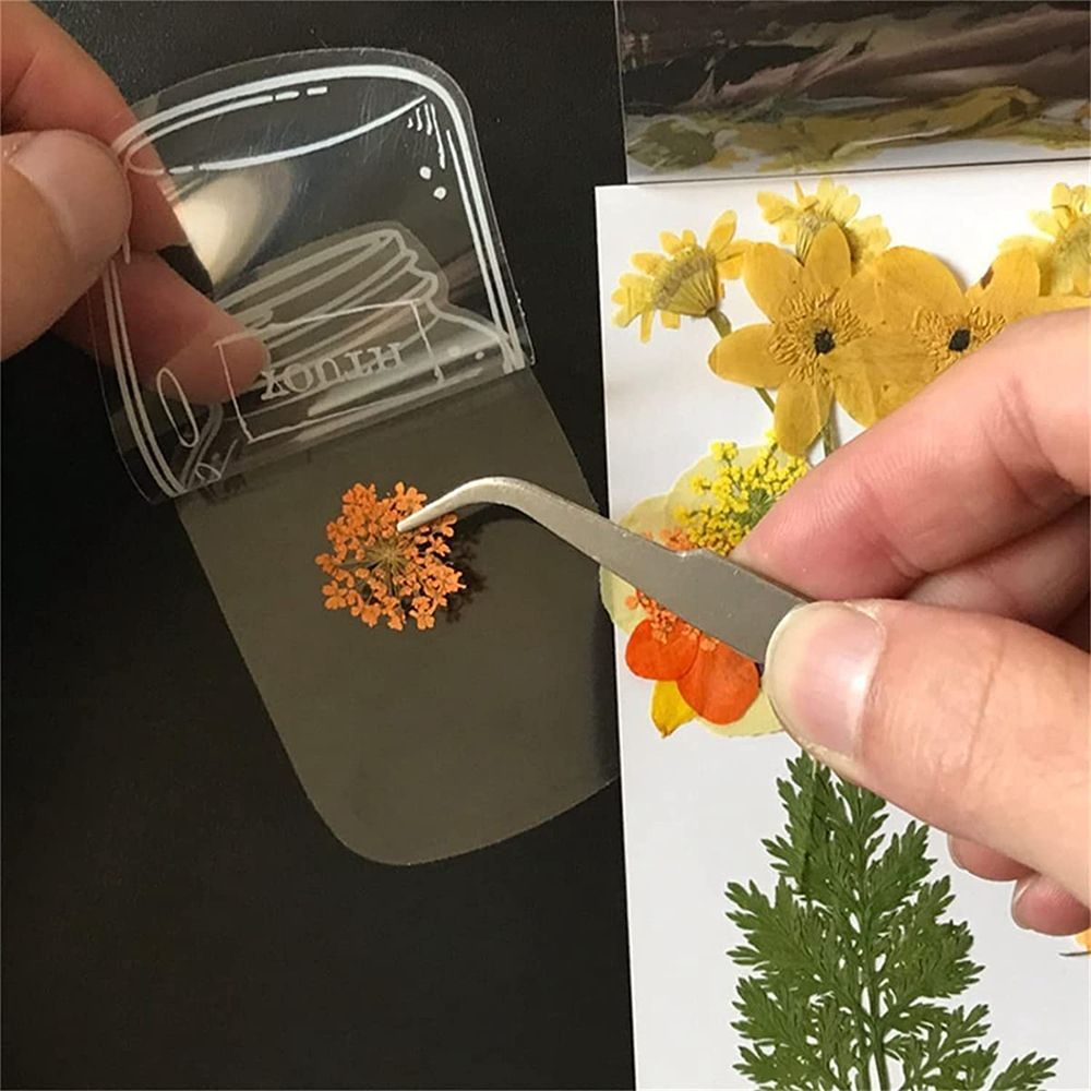 30Pcs Transparent Dried Flower - đánh giá và giá Dried Flower Bookmark